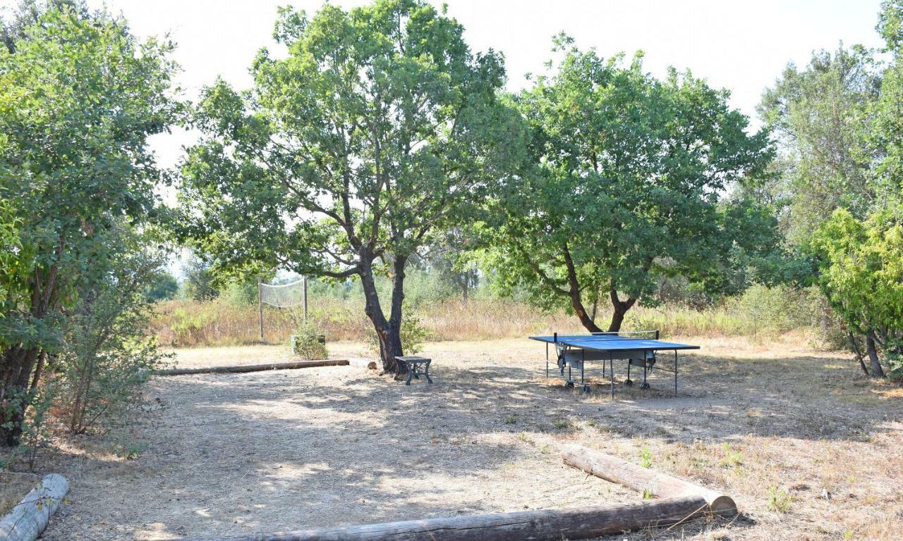 הוילה Locations "Chezchristine Aleria" A Aleria מראה חיצוני תמונה